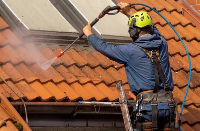 Démoussage et hydrofuge de toiture à Fréterive